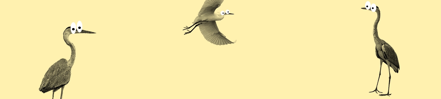 visuel représentant une bandeau pour la plateforme notions