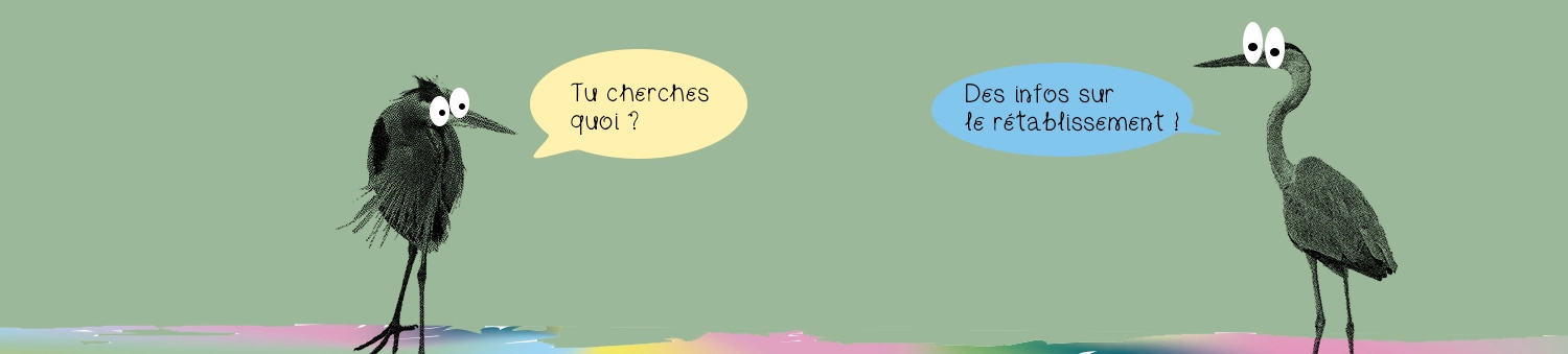 visuel représentant une bandeau pour la plateforme notions